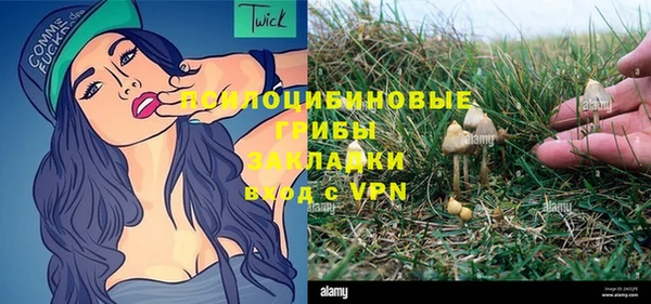 амф Михайловск