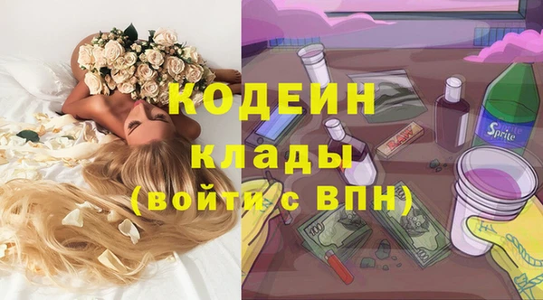 амф Михайловск