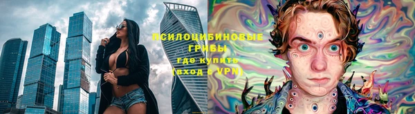 амф Михайловск
