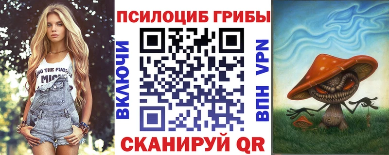 Купить где  Ковылкино  Псилоцибиновые грибы GOLDEN TEACHER 